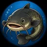 Wels avatar