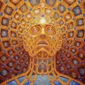 Zorgavin avatar