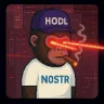 HAMnoder avatar